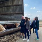 Ophelia Nick und Thomas Kesseler besuchen Rindermastbetrieb von Thomas Gräf